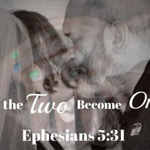 Meet your Posher, Angel